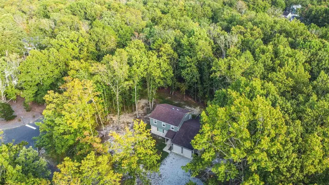 a view of a yard with plants and large trees