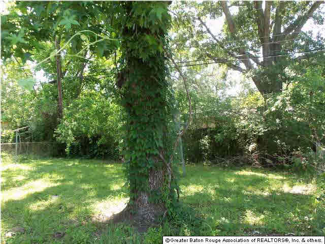 6167 Matthews Street Baton Rouge, LA 70812 - Photo 4 of 5 Gallery Image 4