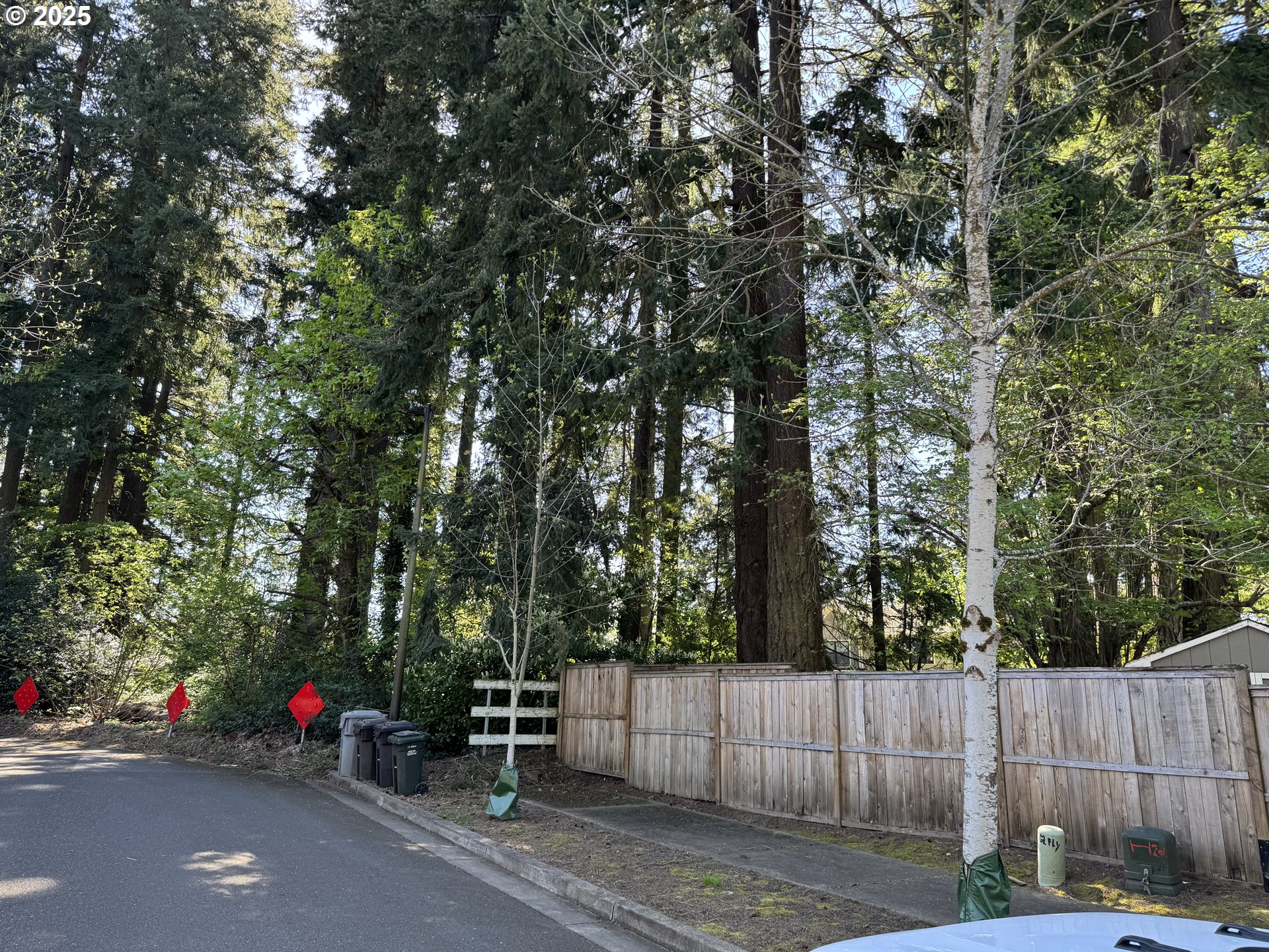 2075 Ostman Road West Linn, OR 97068 - Photo 12 of 12 a view of a street with trees on both side of it