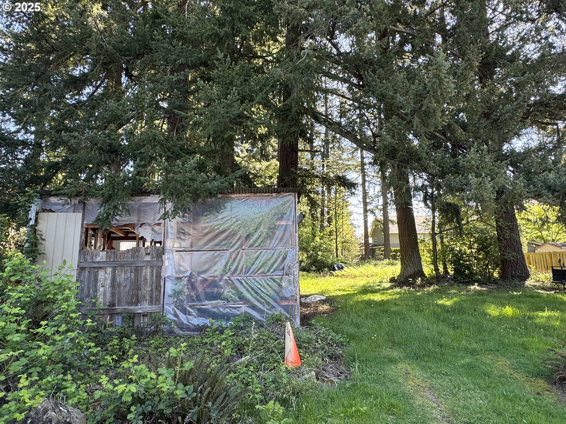 2075 Ostman Road West Linn, OR 97068 - Photo 6 of 12 a view of a park with large trees