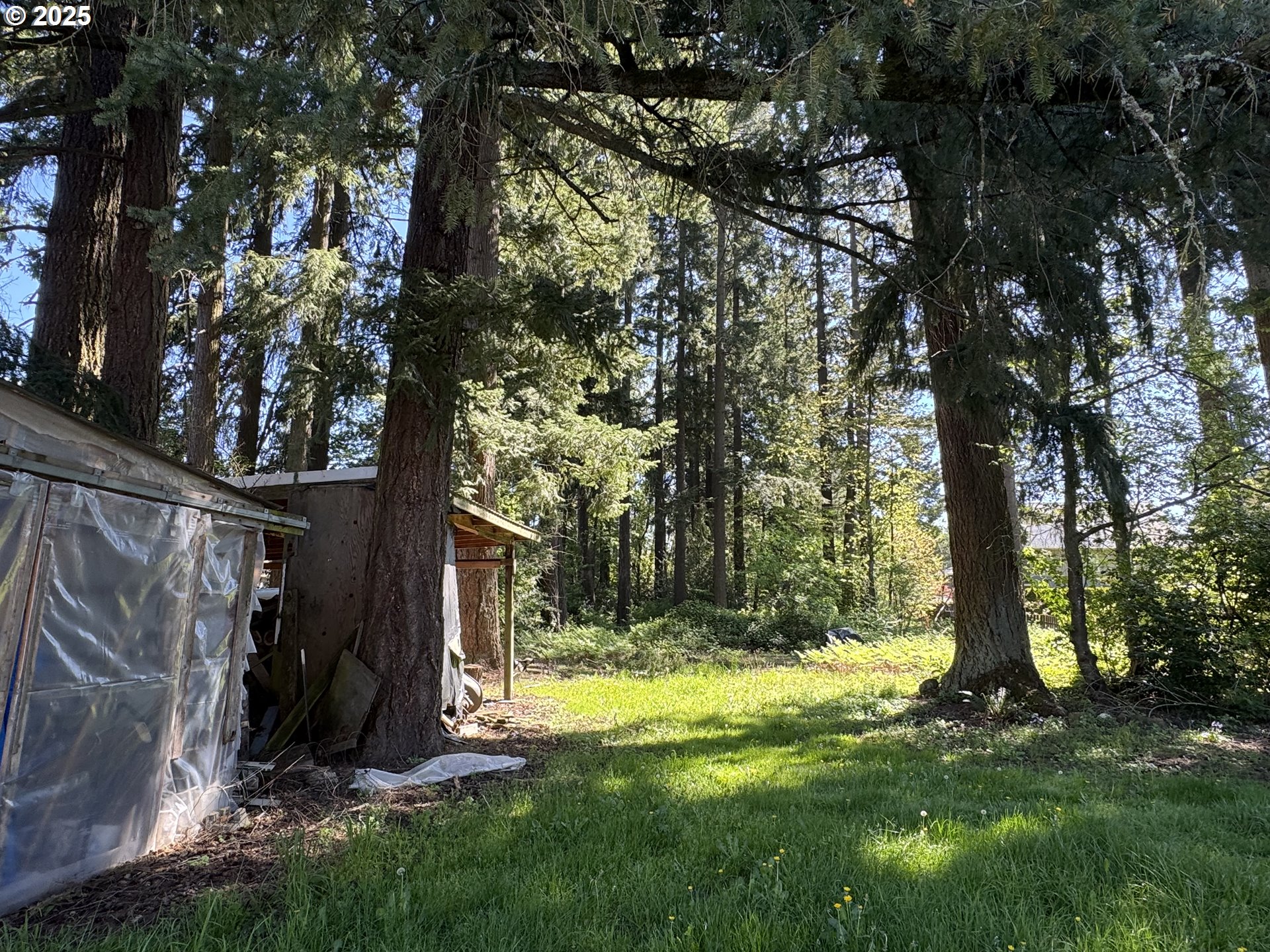 2075 Ostman Road West Linn, OR 97068 - Photo 7 of 12 a view of a backyard with large tree