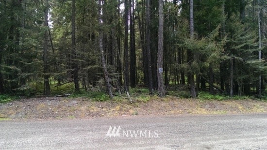 36 Timber Mountain Loop Cle Elum, WA 98922 - Photo 3 of 9 Gallery Image 3