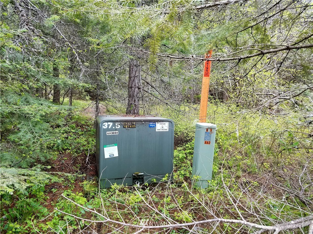 36 Timber Mountain Loop Cle Elum, WA 98922 - Photo 5 of 9 Gallery Image 5