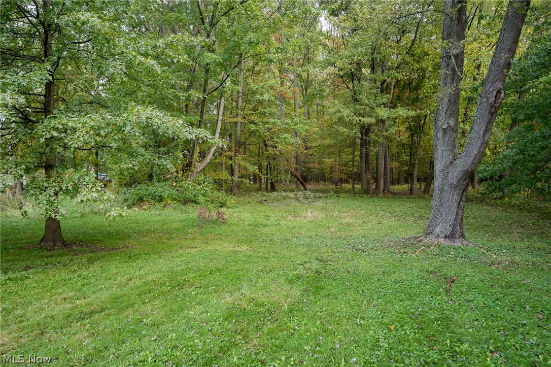 5317 Barton Road North Ridgeville, OH 44039 - Photo 22 of 25 Gallery Image 22