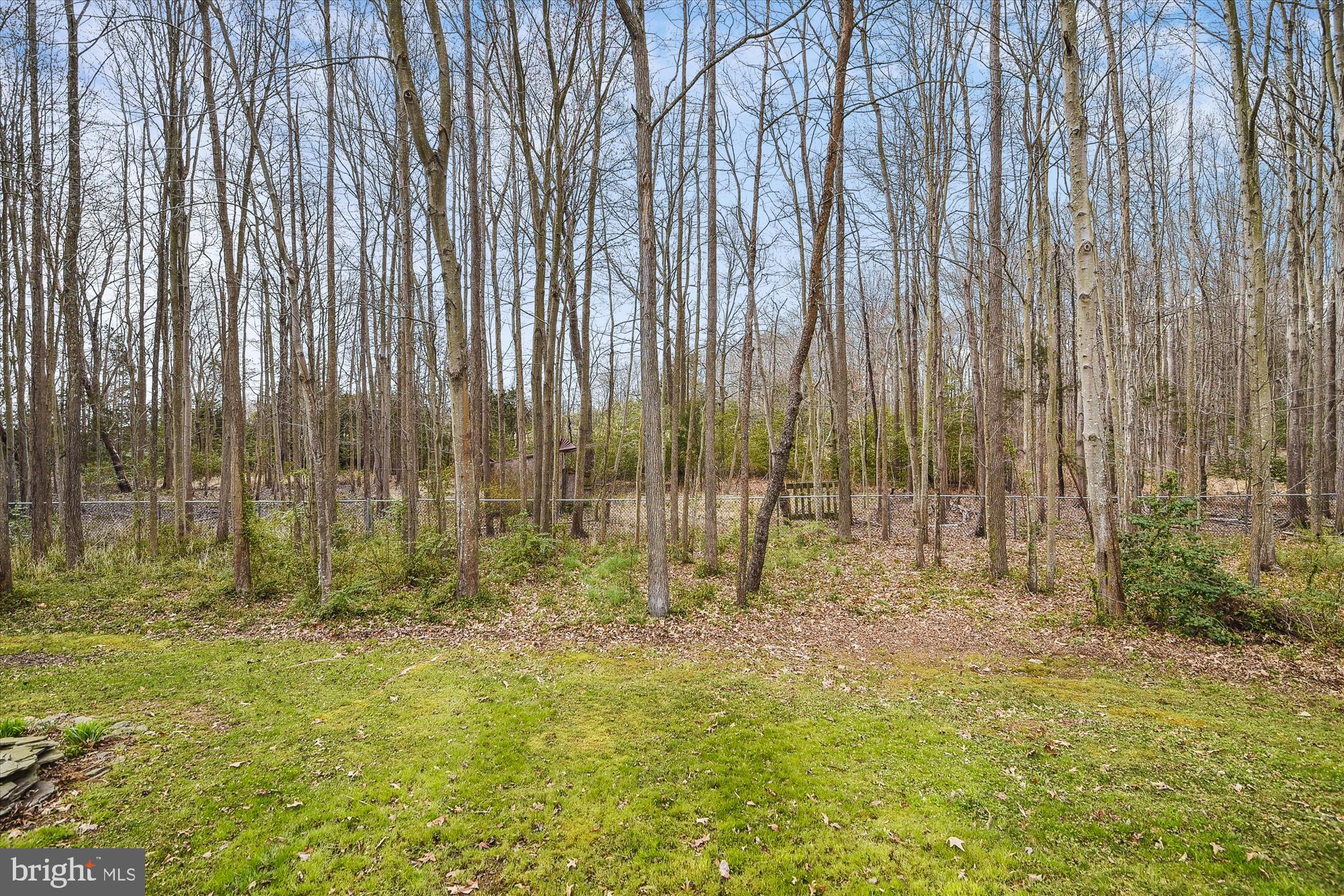 1631 Snug Harbor Road Shady Side, MD 20764 - Photo 31 of 56 View From Back