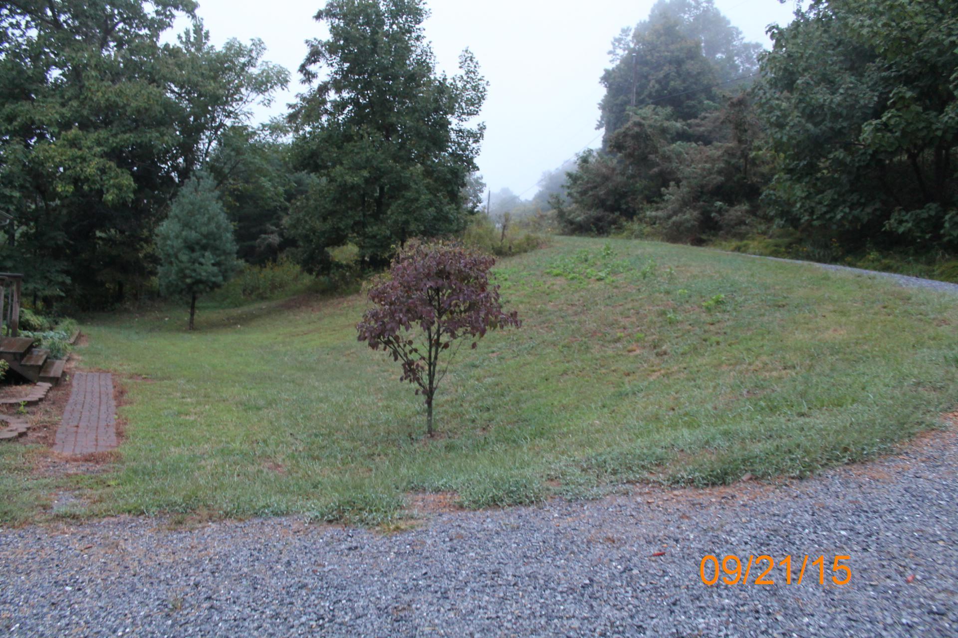 2542 Porters Mountain Road Blue Ridge, VA 24064 - Photo 7 of 31 a view of a outdoor space