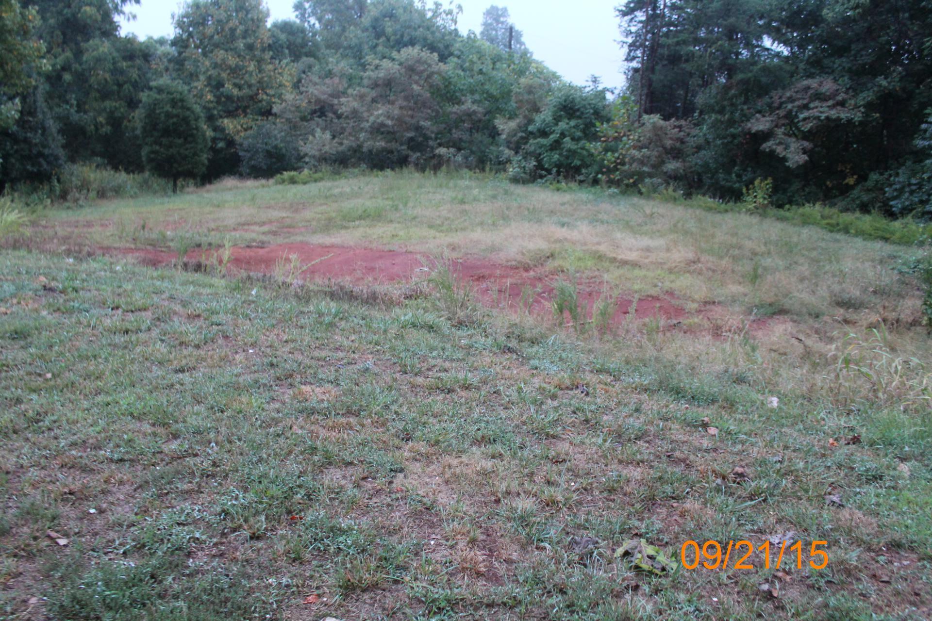 2542 Porters Mountain Road Blue Ridge, VA 24064 - Photo 8 of 31 a view of a yard with an outdoor space