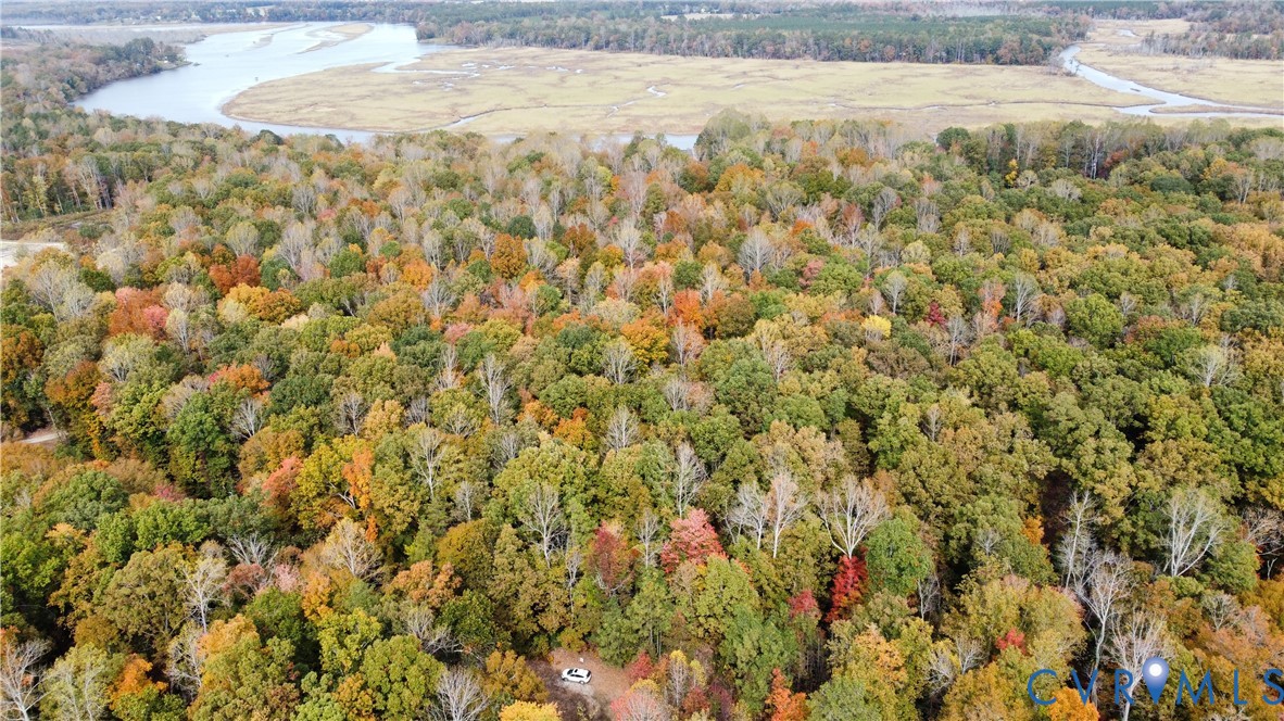 7 Scotland Landing Road West Point, VA 23181 - Photo 20 of 27 Bird's eye view of a forest and a large body of wa