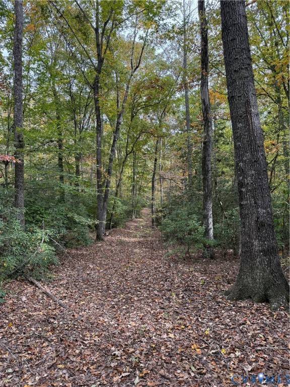 7 Scotland Landing Road West Point, VA 23181 - Photo 23 of 27 View of local wilderness