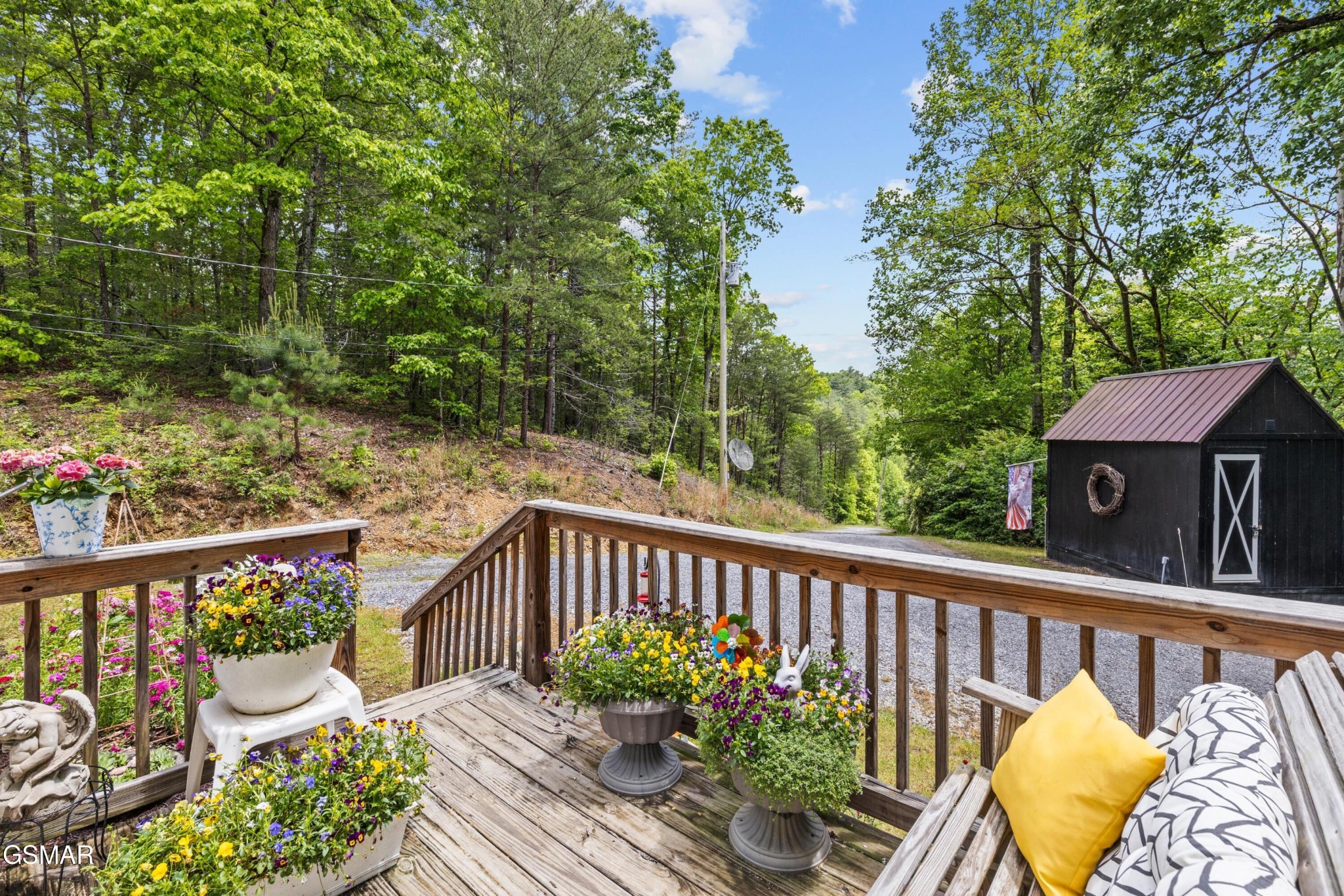 4909 Bogard Road Cosby, TN 37722 - Photo 3 of 23