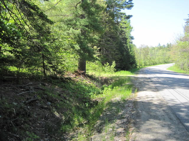 109 Bucksmills Road Bucksport, ME 04416 - Photo 1 of 8 IMG_0013