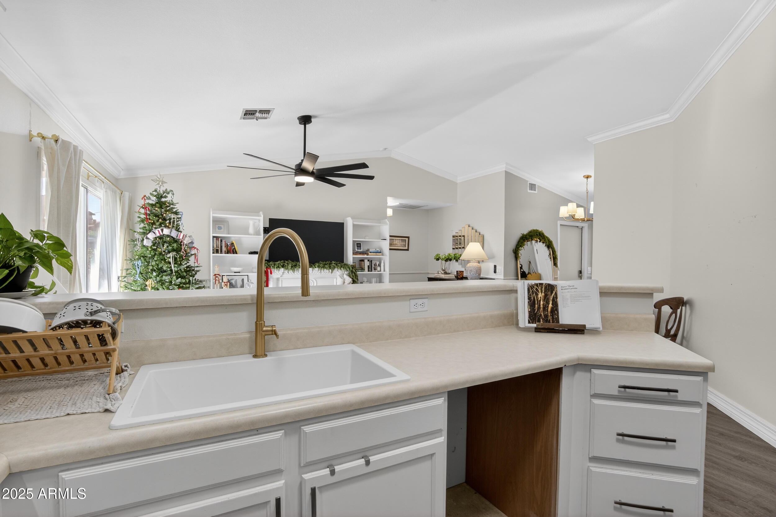 8429 West Coronado Road Phoenix, AZ 85037 - Photo 12 of 37 a kitchen with a sink and a potted plant