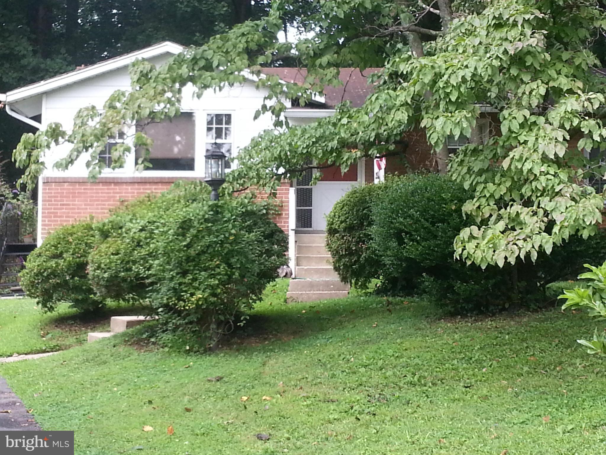 2554 Rambling Road Vienna, VA 22181 - Photo 2 of 28 Incredible location in sought after Orchard View.