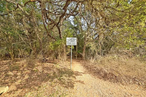 a backyard of a house with a tree