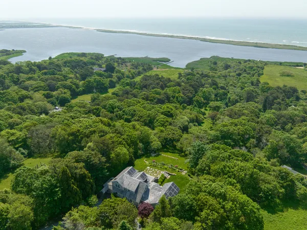 a view of a garden with an ocean