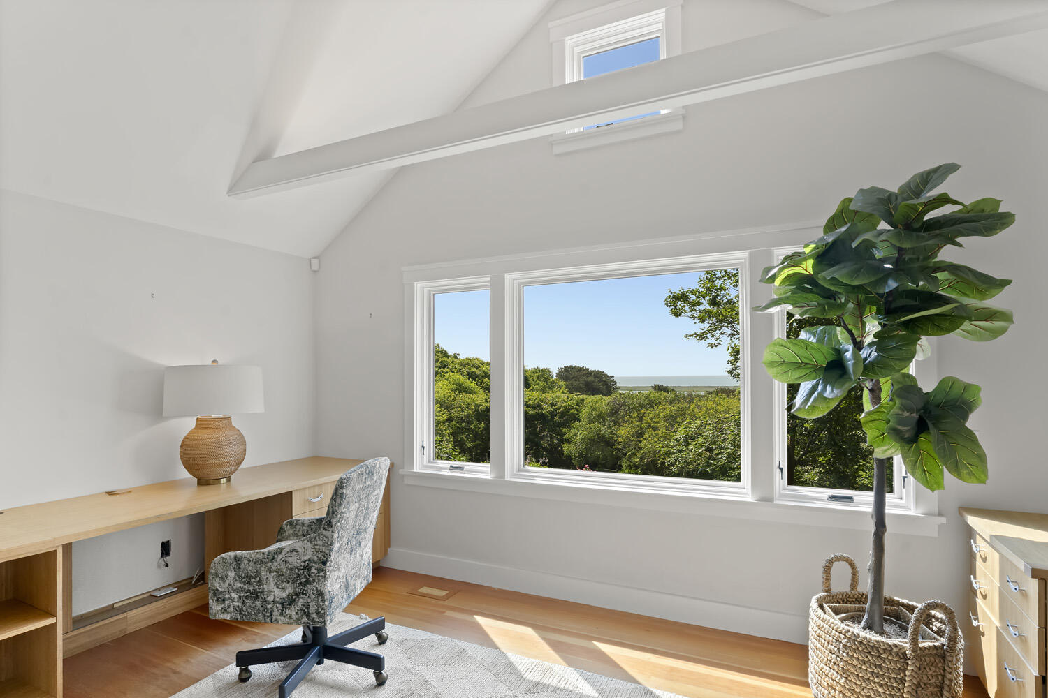 308 S Road Chilmark, MA 02535 - Photo 21 of 41 a living room with furniture and a potted plant
