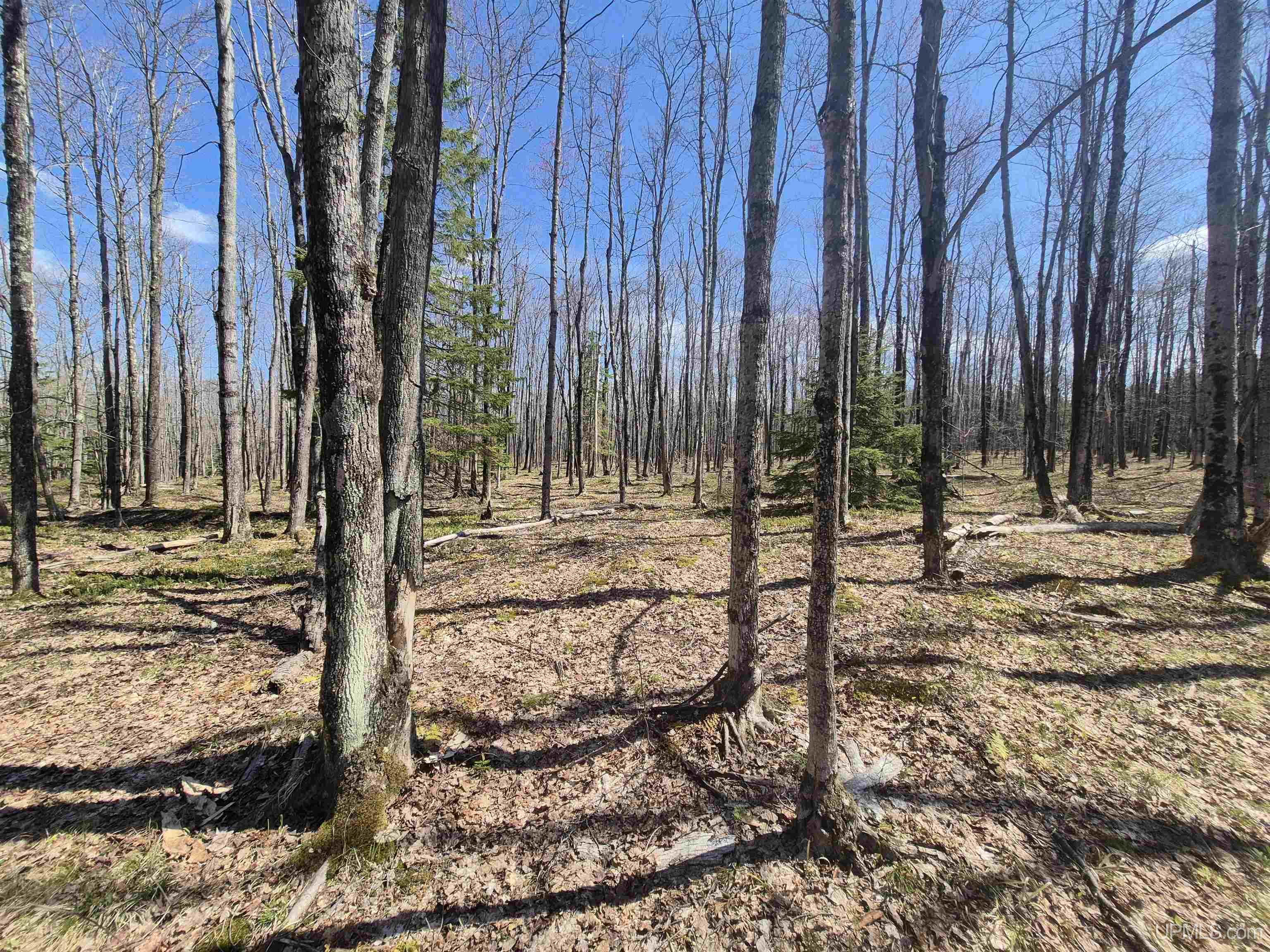 12-acres Salmon Road L'Anse, MI 49946 - Photo 31 of 39