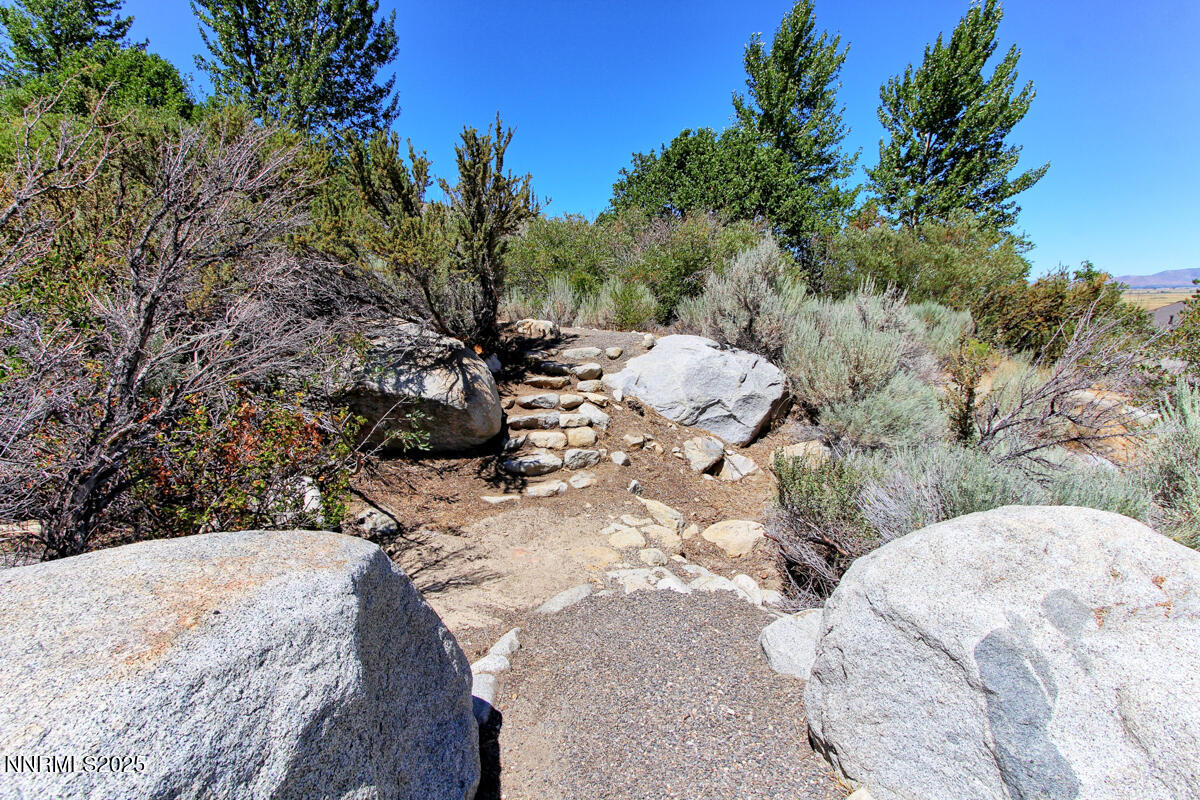 1272 Kingsbury Grade Road Gardnerville, NV 89460 - Photo 56 of 80 Creek 001