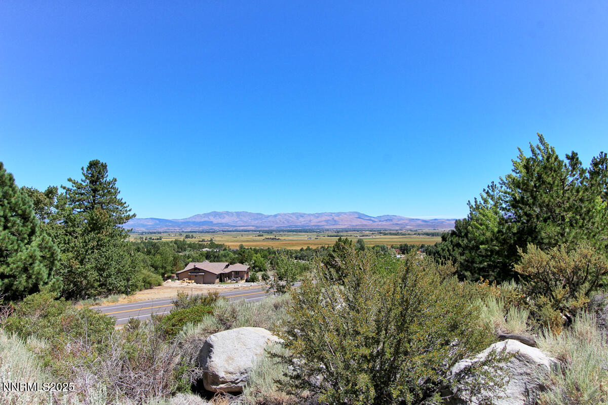 1272 Kingsbury Grade Road Gardnerville, NV 89460 - Photo 57 of 80 View 7