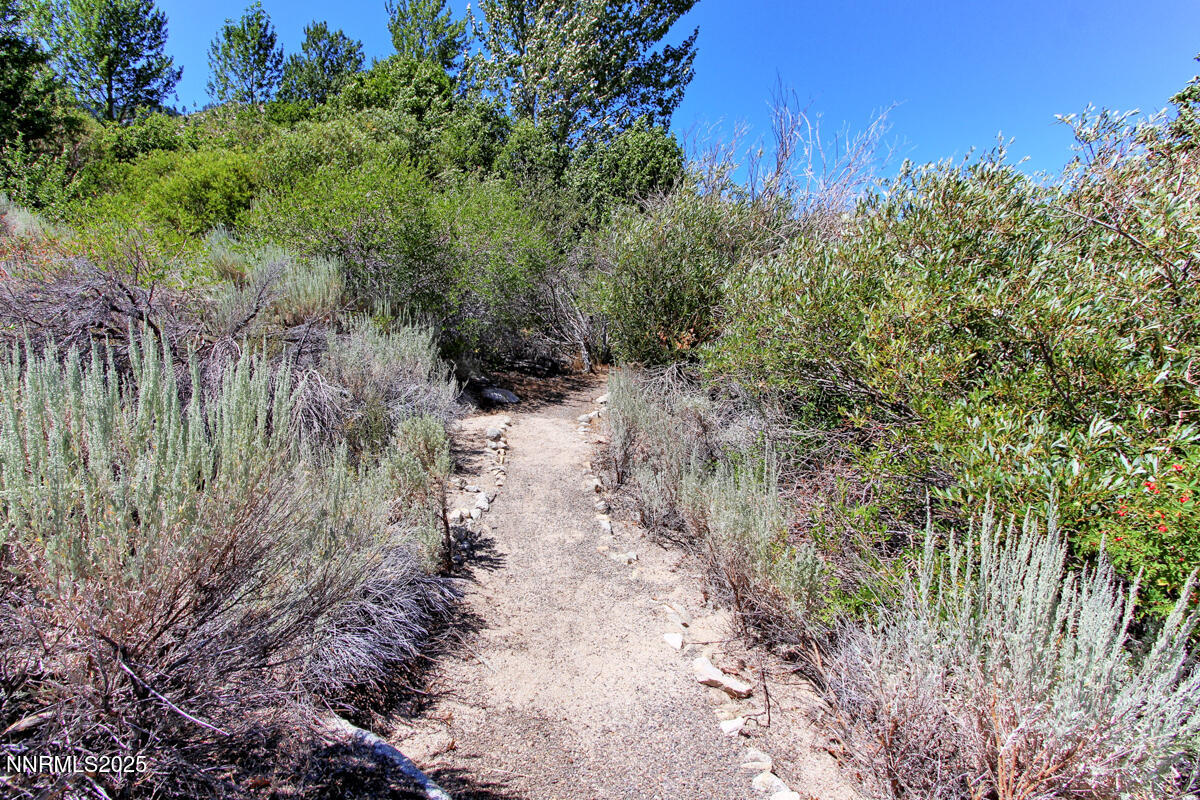 1272 Kingsbury Grade Road Gardnerville, NV 89460 - Photo 58 of 80 Creek 002
