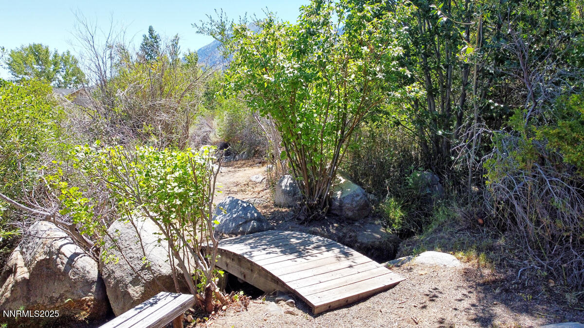 1272 Kingsbury Grade Road Gardnerville, NV 89460 - Photo 60 of 80 Creek 004