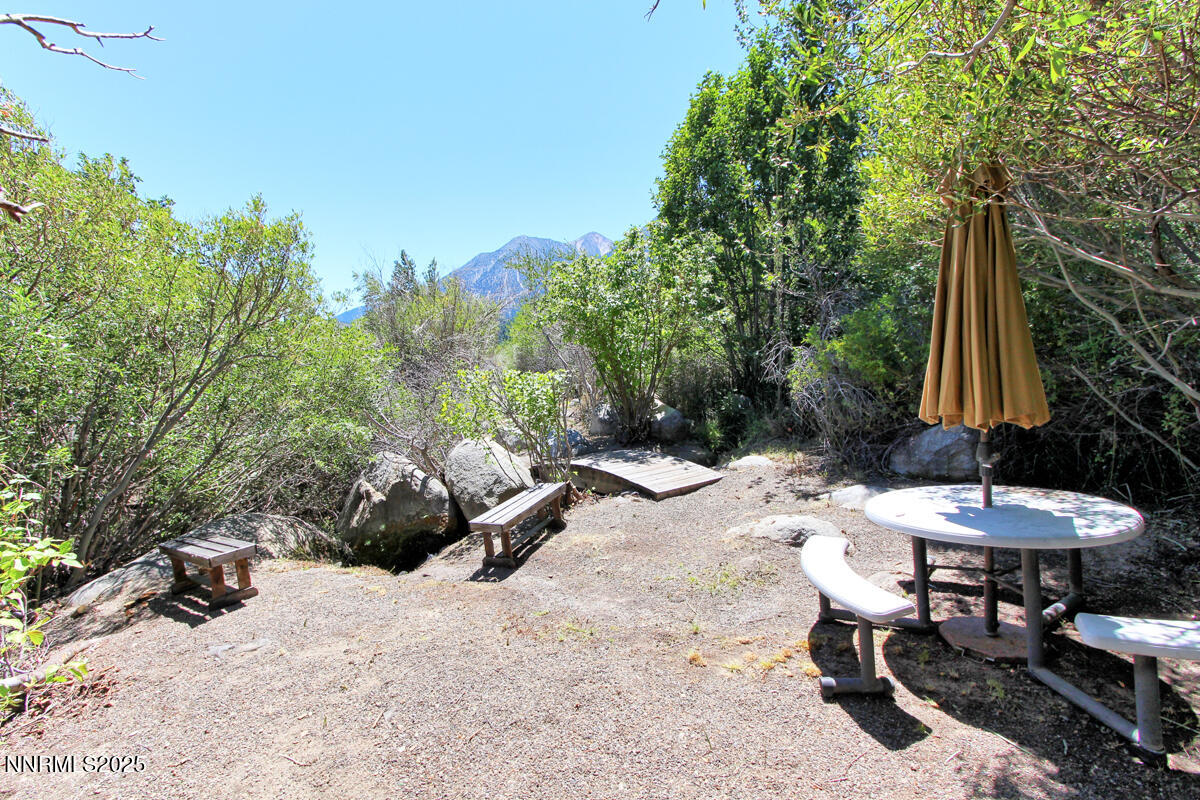 1272 Kingsbury Grade Road Gardnerville, NV 89460 - Photo 61 of 80 Creek 005