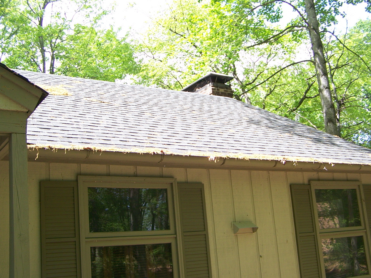 141 Anthony Ford Road Penhook, VA 24137 - Photo 4 of 35 03