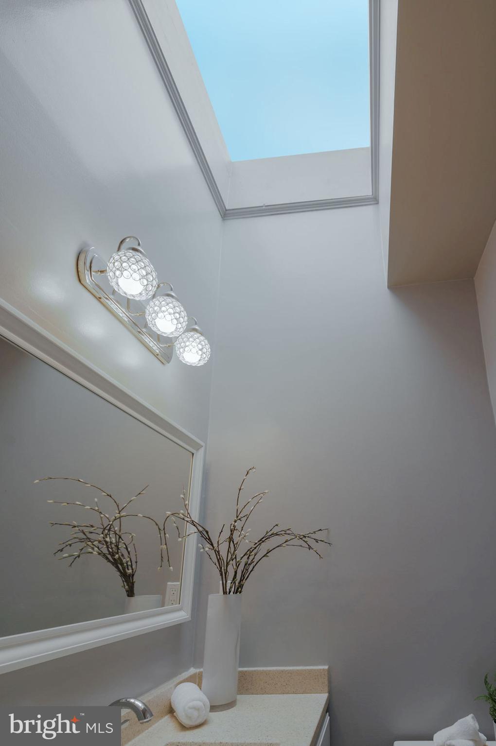 1245 Walter Street Southeast Washington, DC 20003 - Photo 11 of 17 Skylight in Bathroom