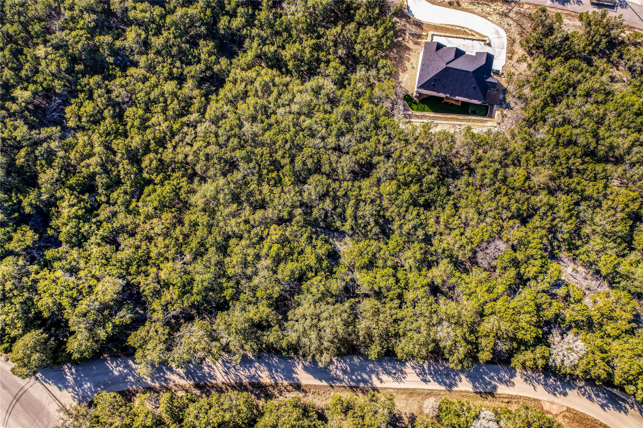 21003 Ridgeview Loop Lago Vista, TX 78645 - Photo 2 of 22 Drone / aerial view
