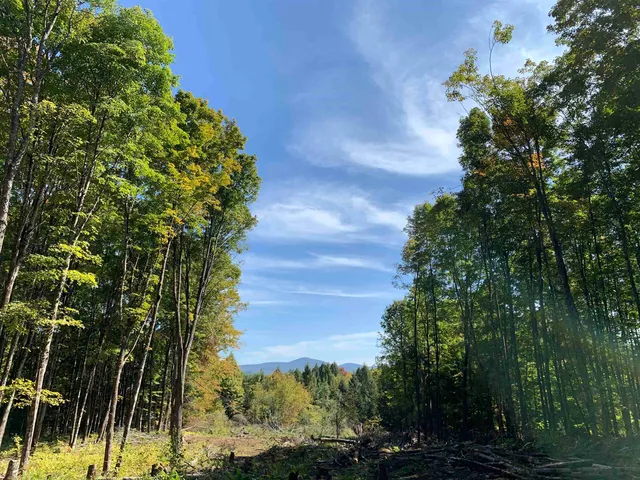 $175,000 | 0 Vt Route 14, East Montpelier, VT 05651