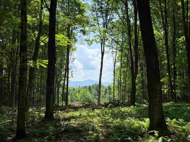 $175,000 | 0 Vt Route 14, East Montpelier, VT 05651