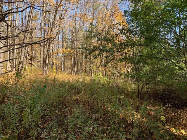 $175,000 | 0 Vt Route 14, East Montpelier, VT 05651