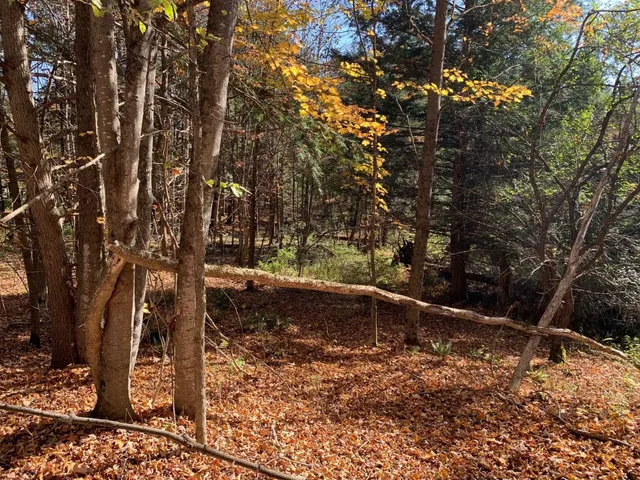 $175,000 | 0 Vt Route 14, East Montpelier, VT 05651