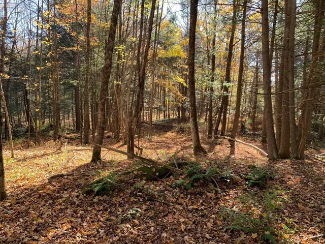 $175,000 | 0 Vt Route 14, East Montpelier, VT 05651