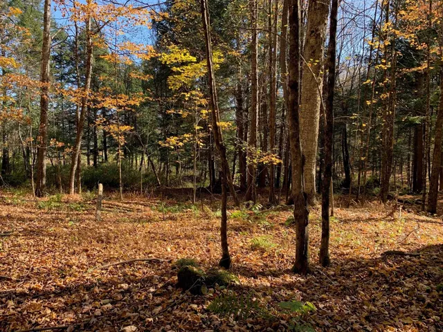 $175,000 | 0 Vt Route 14, East Montpelier, VT 05651