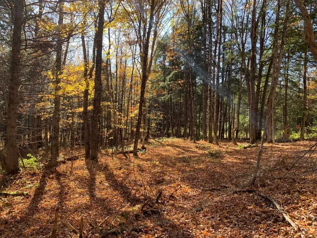 $175,000 | 0 Vt Route 14, East Montpelier, VT 05651