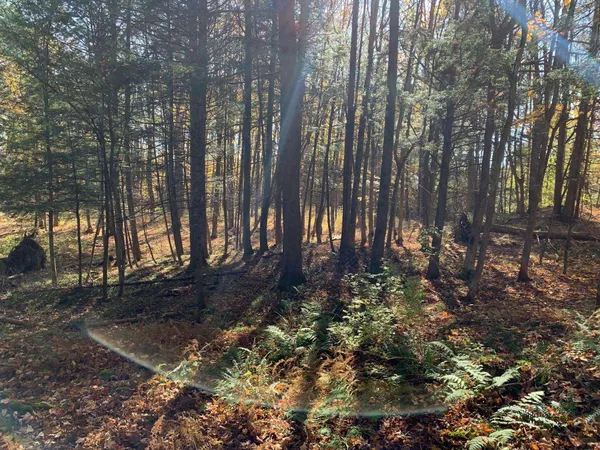 $175,000 | 0 Vt Route 14, East Montpelier, VT 05651