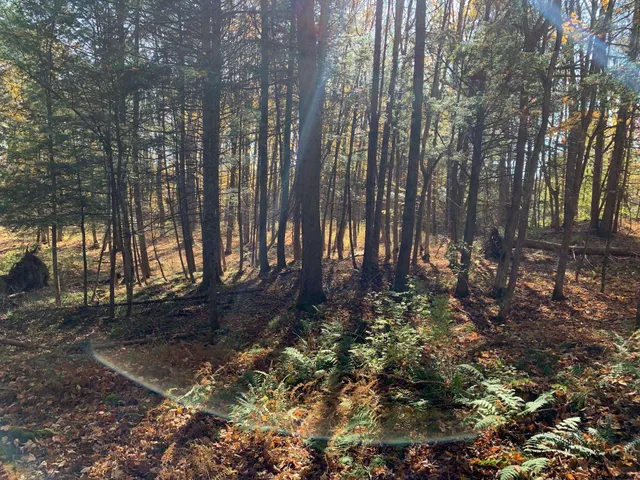 $175,000 | 0 Vt Route 14, East Montpelier, VT 05651