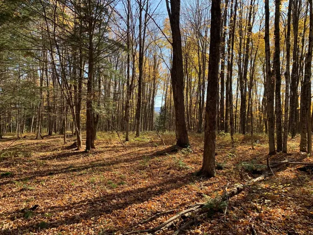 $175,000 | 0 Vt Route 14, East Montpelier, VT 05651