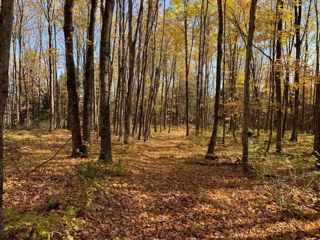 $175,000 | 0 Vt Route 14, East Montpelier, VT 05651