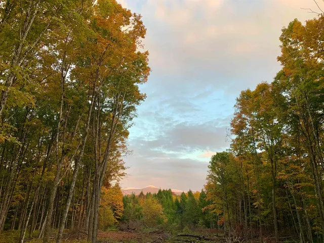 $175,000 | 0 Vt Route 14, East Montpelier, VT 05651