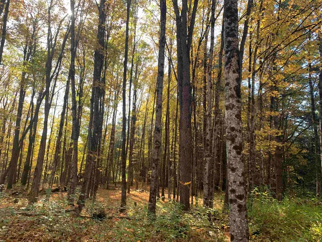 $175,000 | 0 Vt Route 14, East Montpelier, VT 05651