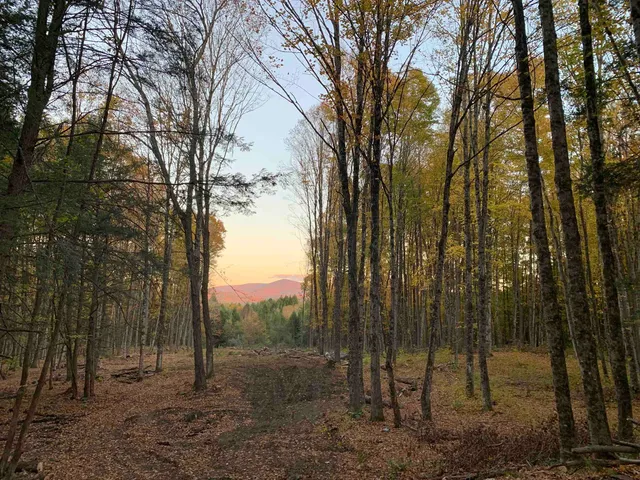 $175,000 | 0 Vt Route 14, East Montpelier, VT 05651