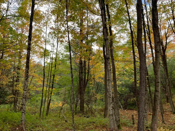 $175,000 | 0 Vt Route 14, East Montpelier, VT 05651