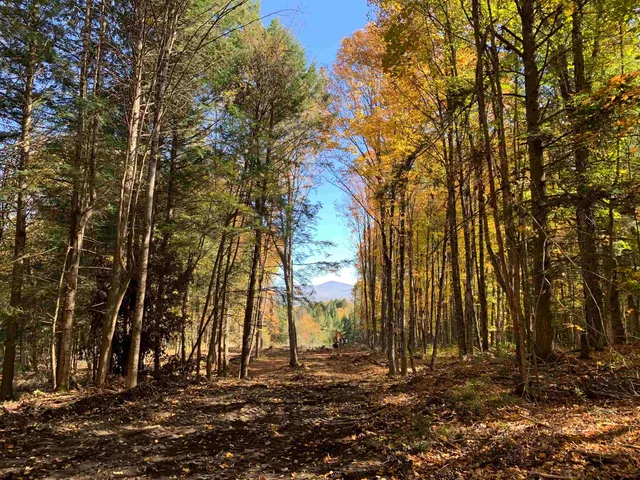 $175,000 | 0 Vt Route 14, East Montpelier, VT 05651