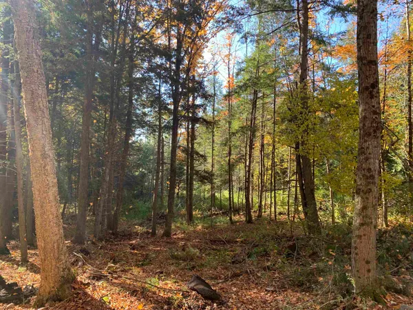 $175,000 | 0 Vt Route 14, East Montpelier, VT 05651