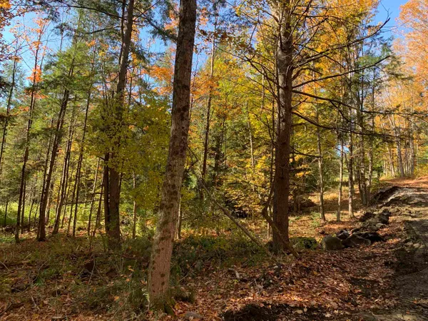 $175,000 | 0 Vt Route 14, East Montpelier, VT 05651