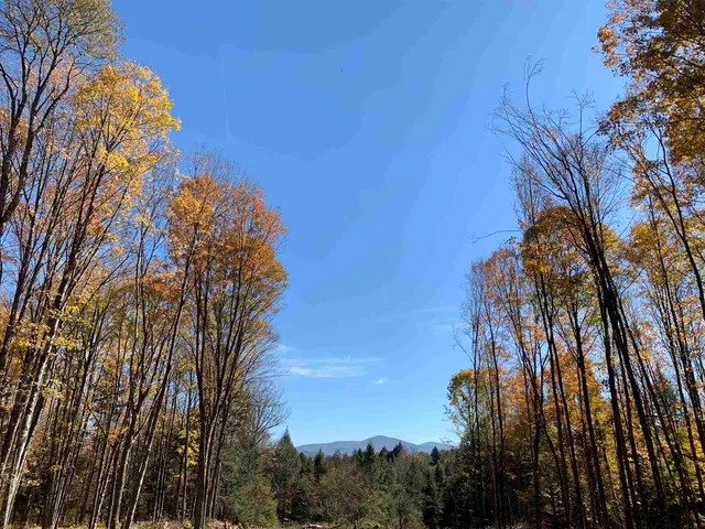 $175,000 | 0 Vt Route 14, East Montpelier, VT 05651