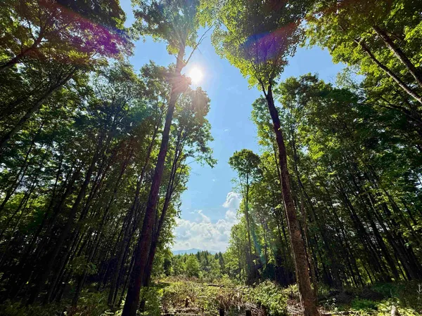 $175,000 | 0 Vt Route 14, East Montpelier, VT 05651