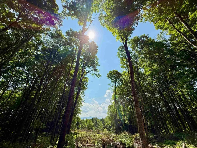 $175,000 | 0 Vt Route 14, East Montpelier, VT 05651